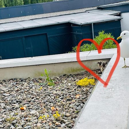 Apartment Moevenkoje Fuer 1-2 Personen Mit Pool Dahme  Exterior foto